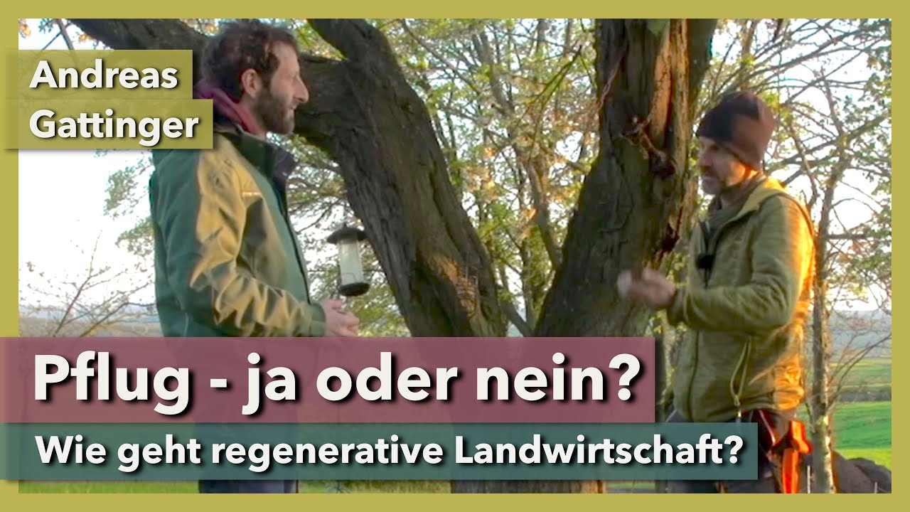 Thumbnail youtube jDp0zZvnDgk.jpg