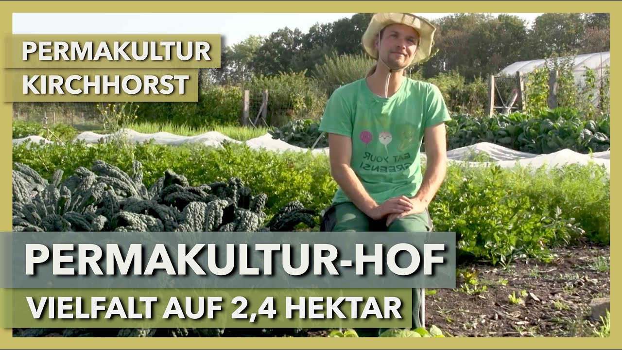 Thumbnail youtube tHa7EHMH0GI.jpg