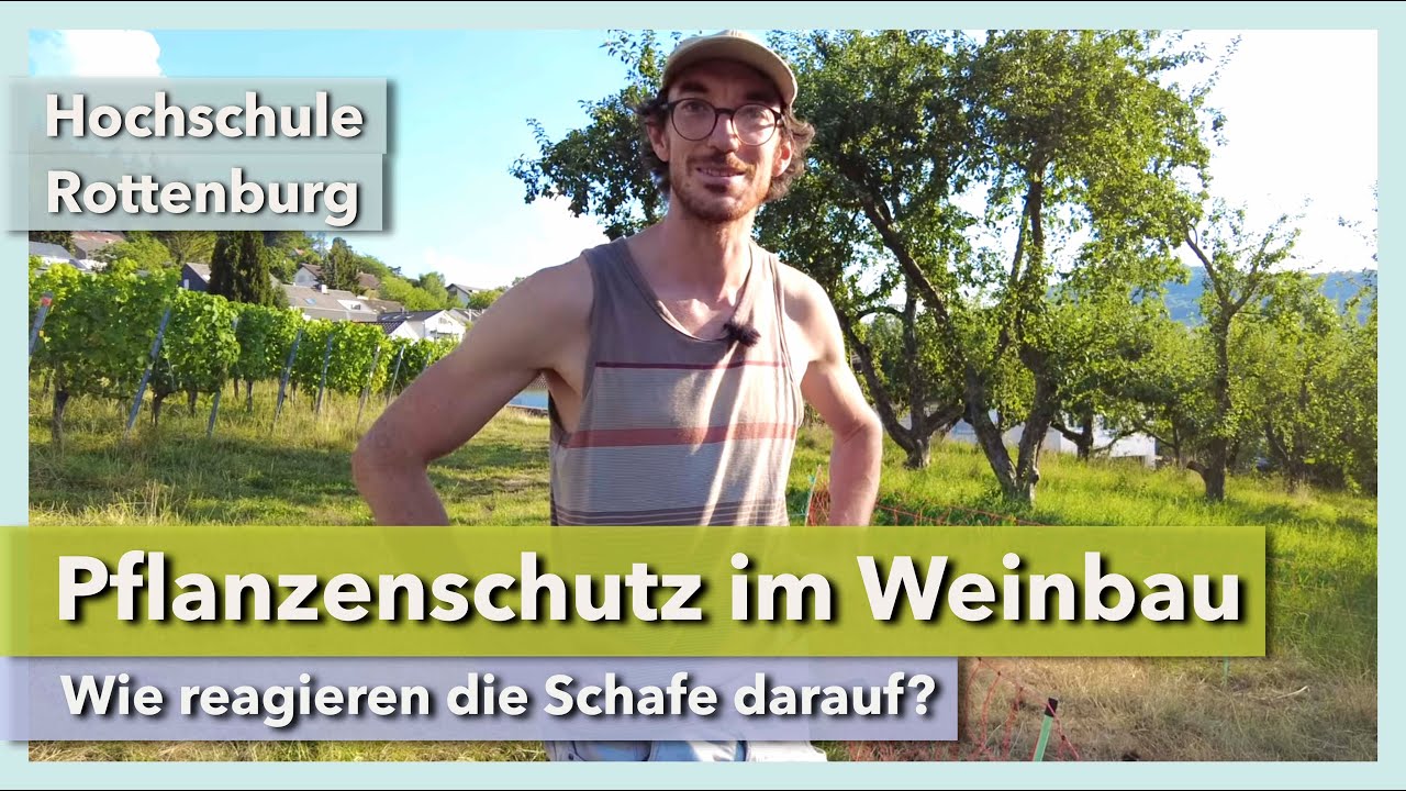 Thumbnail youtube bPZ3ZmjTR-o.jpg