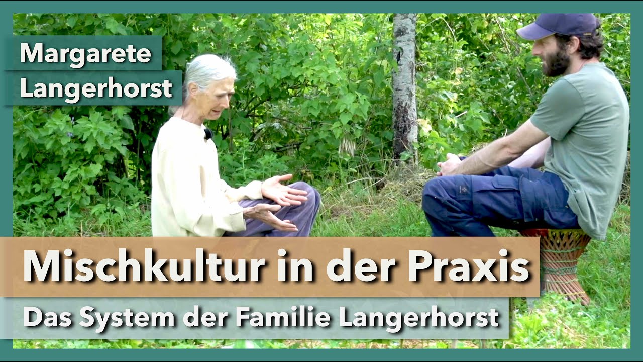 Thumbnail youtube pUEniPbINxE.jpg