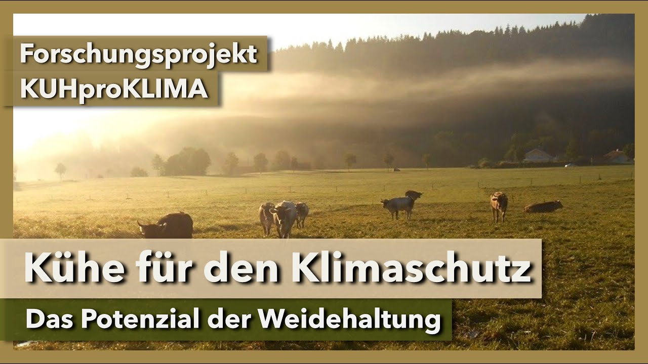 Thumbnail youtube pSgsp PtROg.jpg