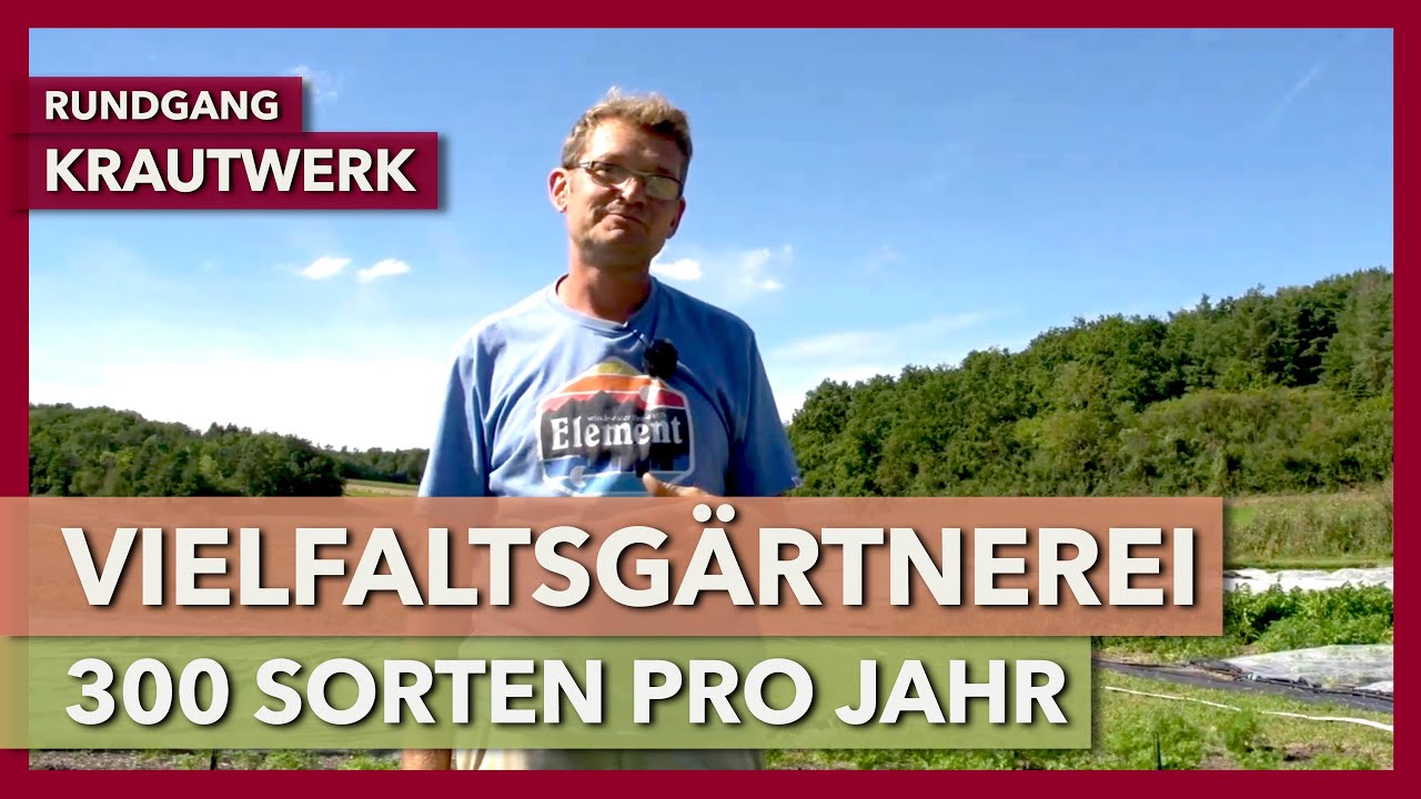 Thumbnail youtube YEvZaOJtmFE.jpg