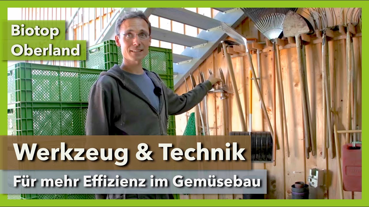 Thumbnail youtube zj-Tqi7hXIU.jpg