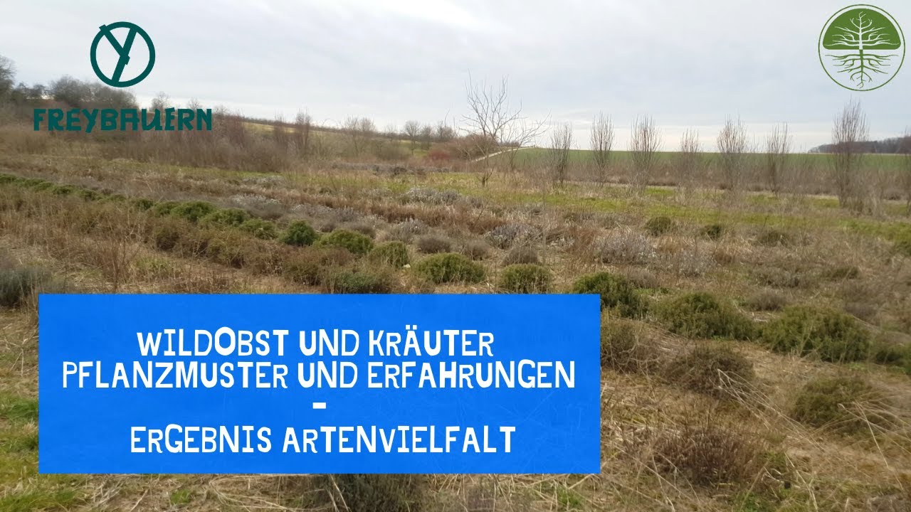 Thumbnail youtube gpX8lJnWPy8.jpg