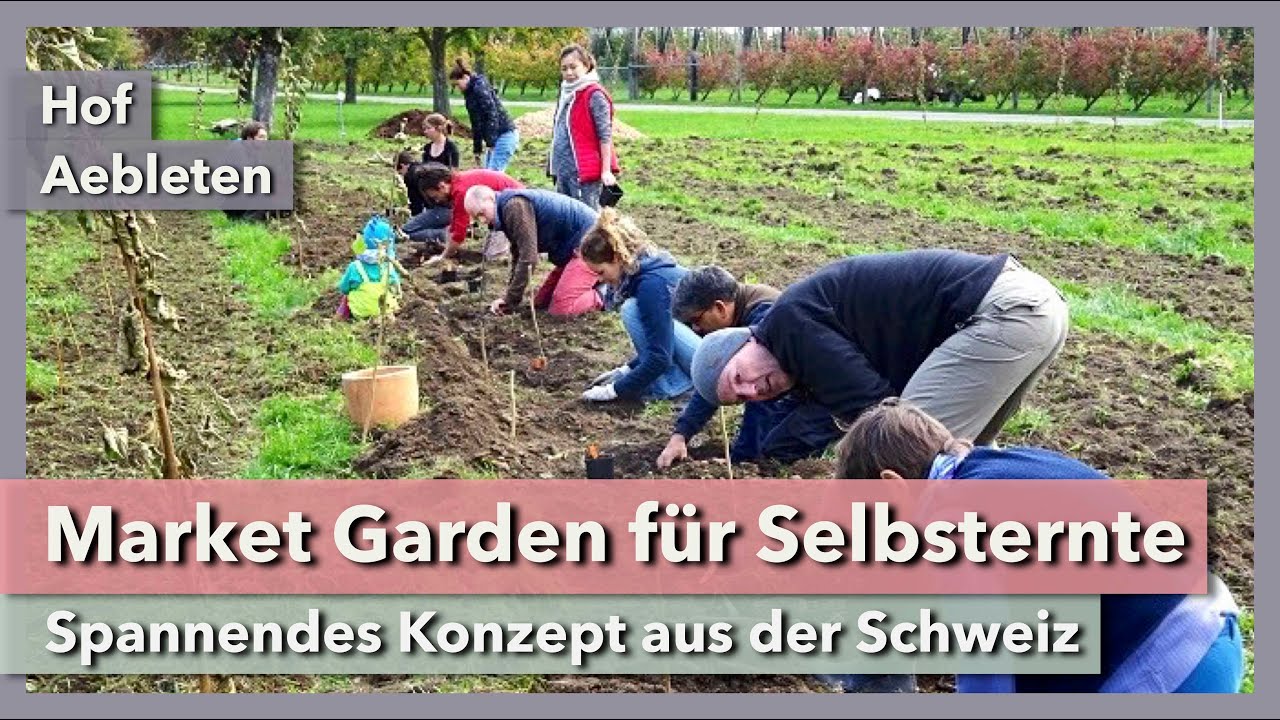 Thumbnail youtube M4UfBCZL5Fw.jpg
