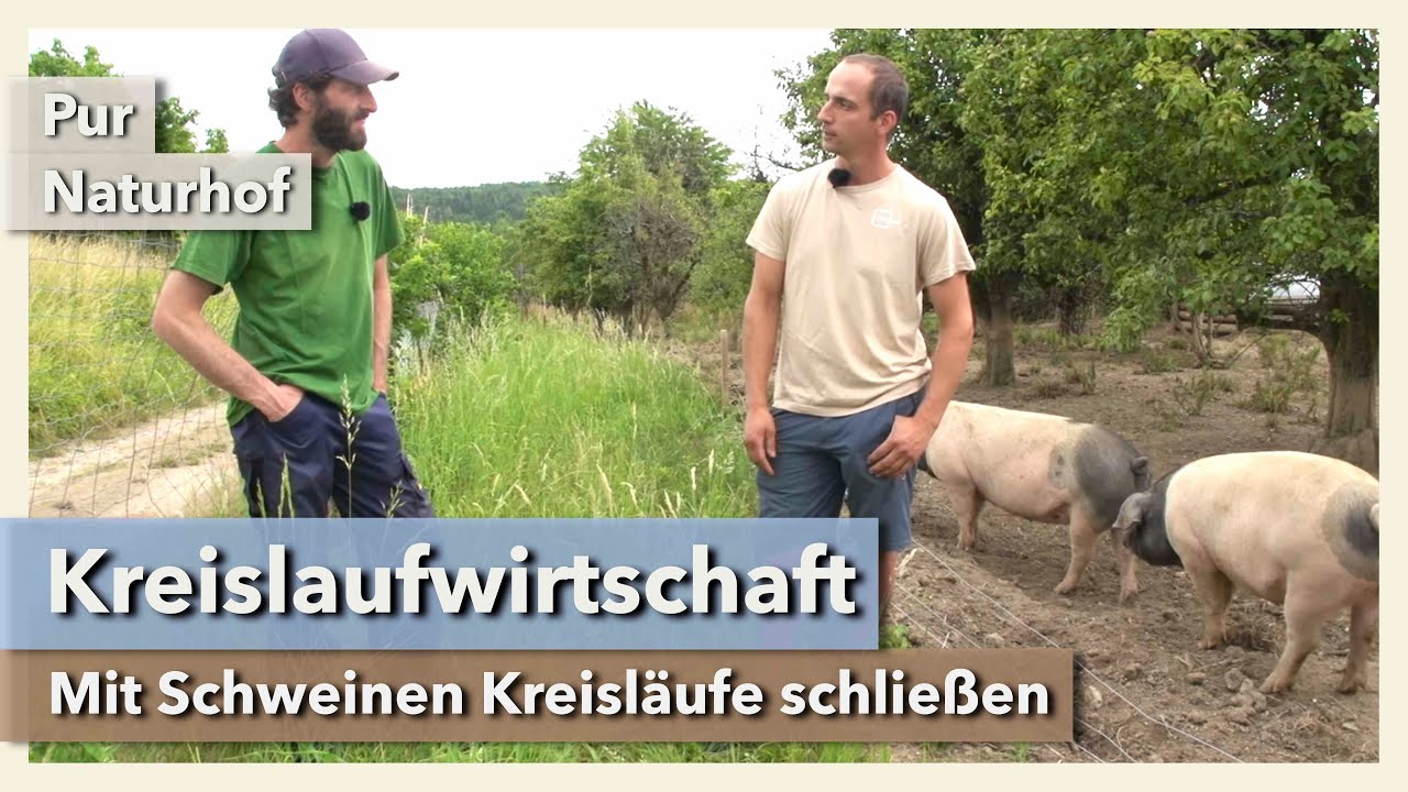Thumbnail youtube RyKFutavHWU.jpg