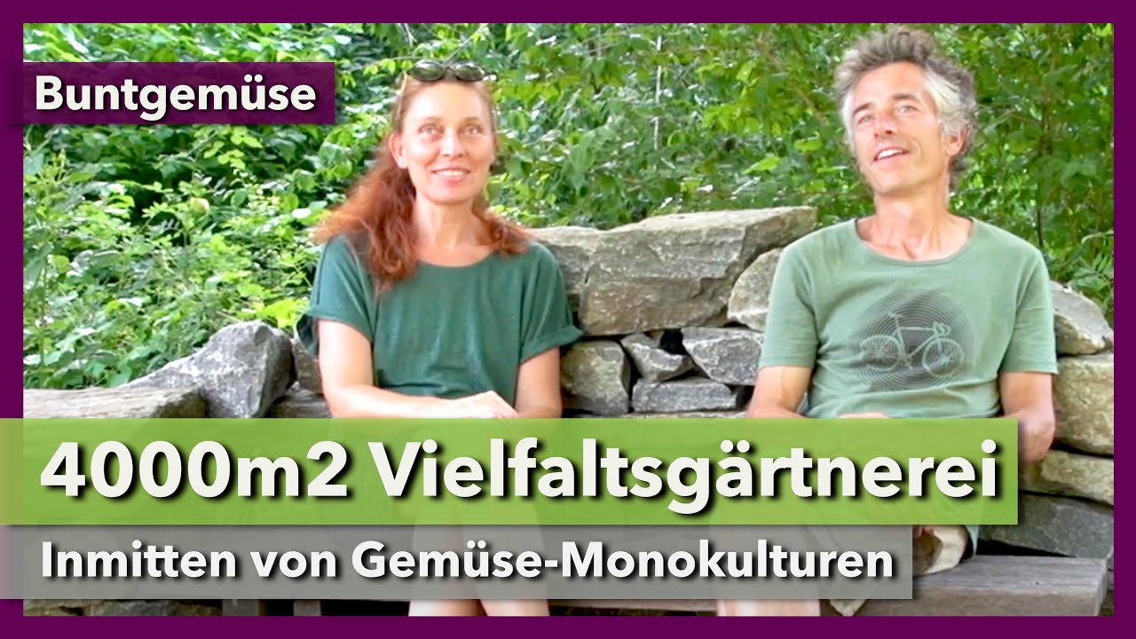 Thumbnail youtube NHN-lIig1Zo.jpg