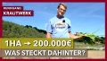 Vorschaubild der Version vom 11:04, 11. Dez. 2024
