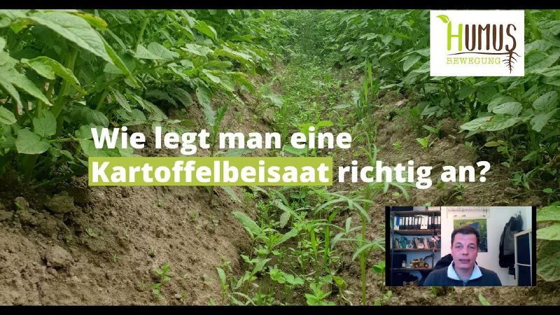 Datei:Thumbnail youtube J03FuEmymyw.jpg