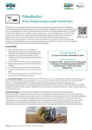 Paludikultur Moor-Wiedervernässung & Paludikultur.jpg