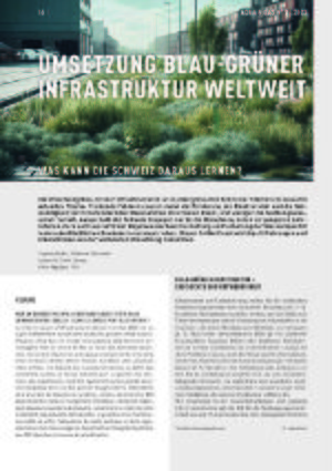 UMSETZUNG BLAU-GRÜNER INFRASTRUKTUR WELTWEIT.jpg