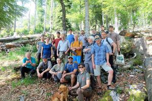 Klimafitte Wälder im Blick.jpg