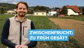 Vorschaubild der Version vom 16:41, 2. Sep. 2025