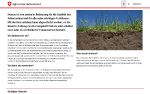 Agroscope Humusbilanz.jpg